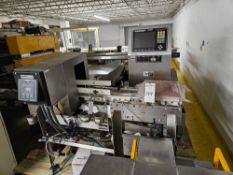 Ramsey Icore Auto Check 9000 Plus Checkweigher