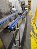 Slat Top Conveyor- Subject To Bulk