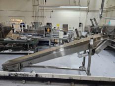 Incline Feeding Conveyor