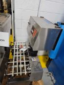 Ramsey Icore Mark II Checkweigher