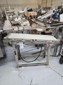 Stainless Steel Slate Conveyor