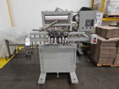 Multi Head Pressure / Gravity Piston Filler