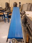 Incline Blue Belt Conveyor