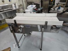Intralox Conveyor Belt