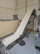 Inclined Cleated Conveyor