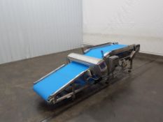 Mettler-Toledo V4-Rad Metal Detector with a 31