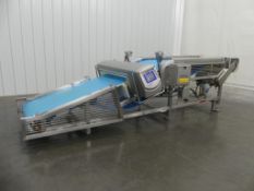 Mettler-Toledo V4-Rad Metal Detector with a 31