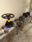 Back Flow Valve System for large water main