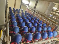 Alfa Laval Think Top Valve Bank