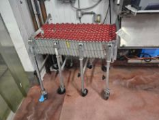 Nestaflex 226 Flexible Rolling Conveyor