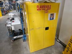 Securall A190 Fire Cabinet