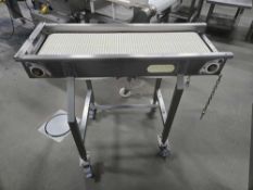 Mat Top Conveyor on Wheels