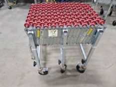 Nestaflex 226 Flexible Rolling Conveyor