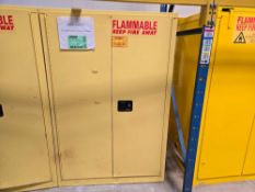 Securall Flammable Fire Storage Cabinet