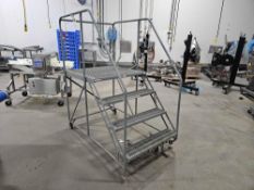 Rolling Platform Ladder