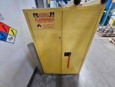 Securall A190 Fire Cabinet
