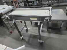 Mat Top Conveyor on Wheels