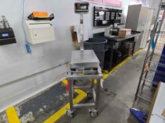 UWE Stainless Steel Scale