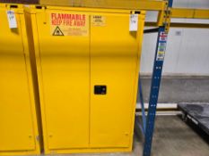 Agent Flammable Storage Cabinet