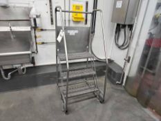 Rolling Step Ladder