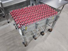 Nestaflex 226 Flexible Rolling Conveyor