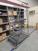 Ballymore Rolling Platform Ladder