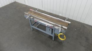 Shanklin Flat Belt Infeed 16
