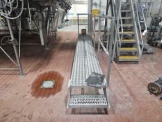 Stainless Steel Walkover Platform