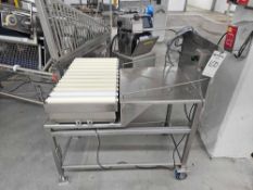 Roller Conveyor With Rice Lake Weighing System