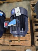Marathon Motor
