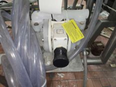 Wilden Diaphragm Pump