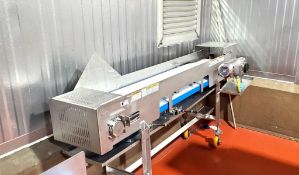 Stainless Steel Transfer Conveyor
