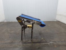 BMI Plastic Mat-Top Incline Conveyor