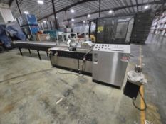 API VJSS 2200-50 Automation Packaging Side Sealer Machine