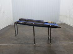 Deville Technologies Smooth Top Blue Belt Decline Conveyor 89