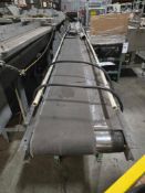 Flat Belt Conveyor