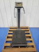 Fairbanks Floor Scale