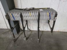 Best Flex Rolling Conveyor