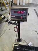 Rice Lake 480 Legend Series ​​​​​​​Model: 480-2A Digital Floor Scale