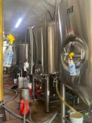 PBST 40 BBL Stainless Steel Fermentation Vessel