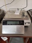 Ishida Uni-3 Computing Scale