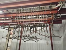 (20) Slaughterhouse Hooks