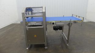 Emkon Automation Stainless Steel Smooth Top Belt Infeed Conveyor