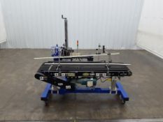 LM Label Mill Pressure Sensitive Labeler With Hytrol Case Belt Conveyor