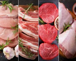 Meat Processing and Packaging Equipment Auction