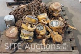 Qty of Hand Chain Hoists