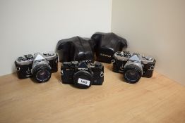 Three Olympus OM-2 camera bodies, two with OM-Systam Zuiko MC Auto -S 1:1,8 50mm lenses