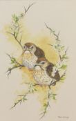 Pam Mullings (British b.1940) watercolour and goache painting on paper, 'Fledgling Thrushes &