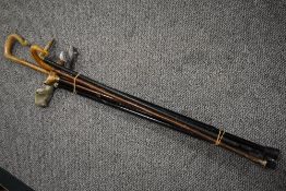 Six Assorted walking sticks including a pair with ergonomic handles some being adjustable.