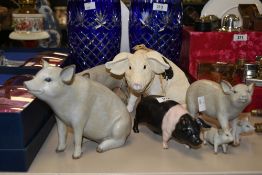 A group of pig studies in multiple colour ways, the largest measuring 16cm tall.